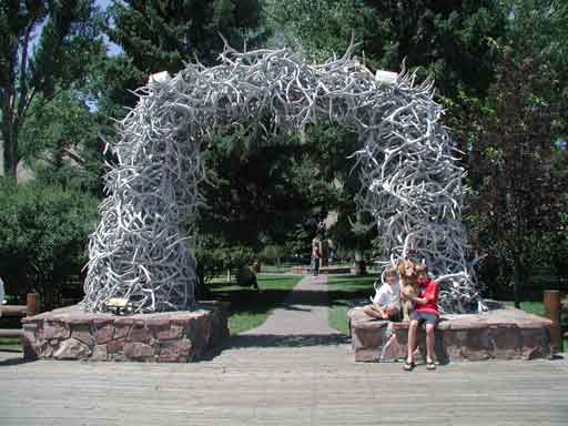 Elk Antler Arch