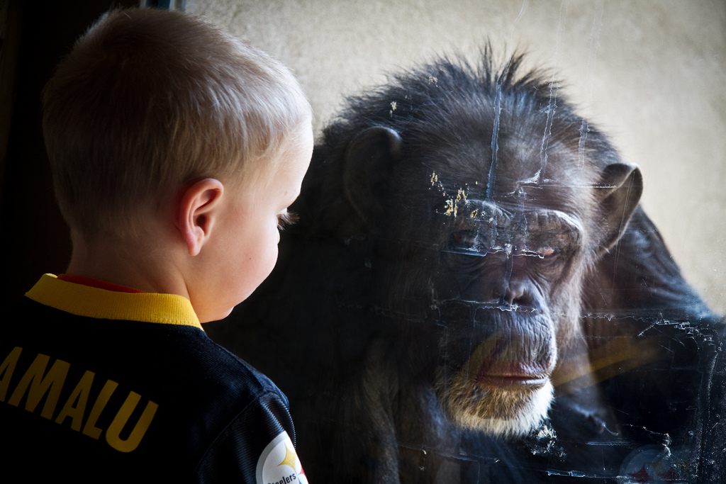 Eye to Eye