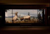 Diorama on Anirama